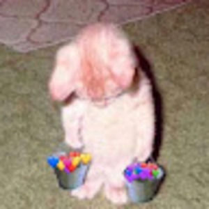 Meet your Posher, Giulia